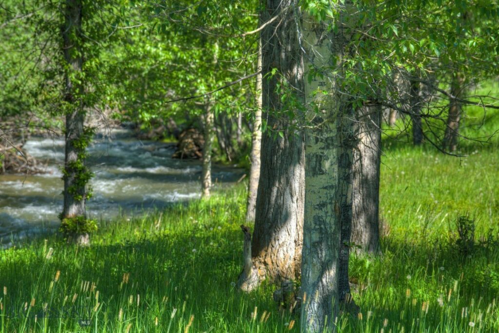 Bozeman MT 59718 - 2