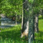 Bozeman MT 59718 - 2