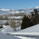 13830 (Tract A-D) Cottonwood Road