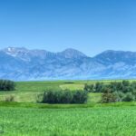 13830 (Tract A-D) Cottonwood Road