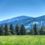 Bozeman MT 59718 - 3