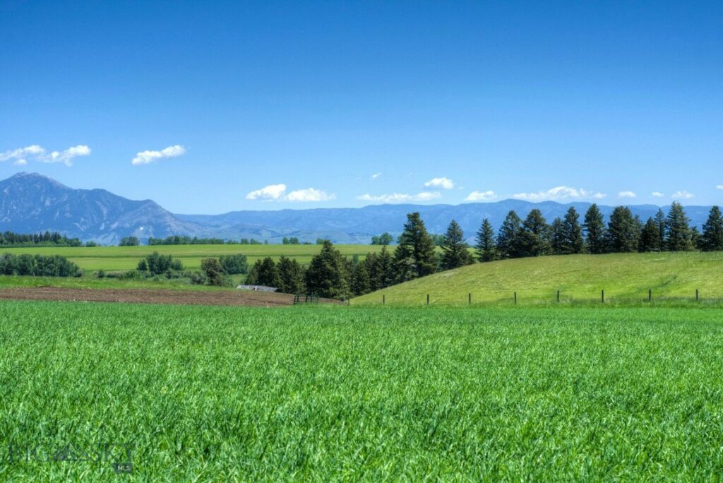 Bozeman MT 59718 - 5