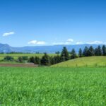 Bozeman MT 59718 - 5