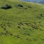 13830 (Tract C) Cottonwood Road