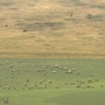 Bozeman MT 59718 - 11