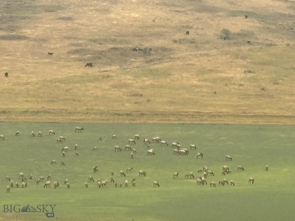 Bozeman MT 59718 - 11