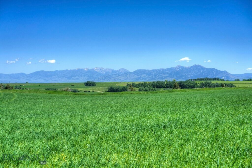 Bozeman MT 59718 - 1