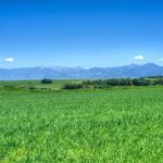 Bozeman MT 59718 - 1