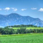 13830 (Tract D) Cottonwood Road