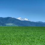 13830 (Tract D) Cottonwood Road