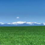 Bozeman MT 59718 - 4