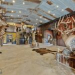 Belgrade MT 59714 - 5