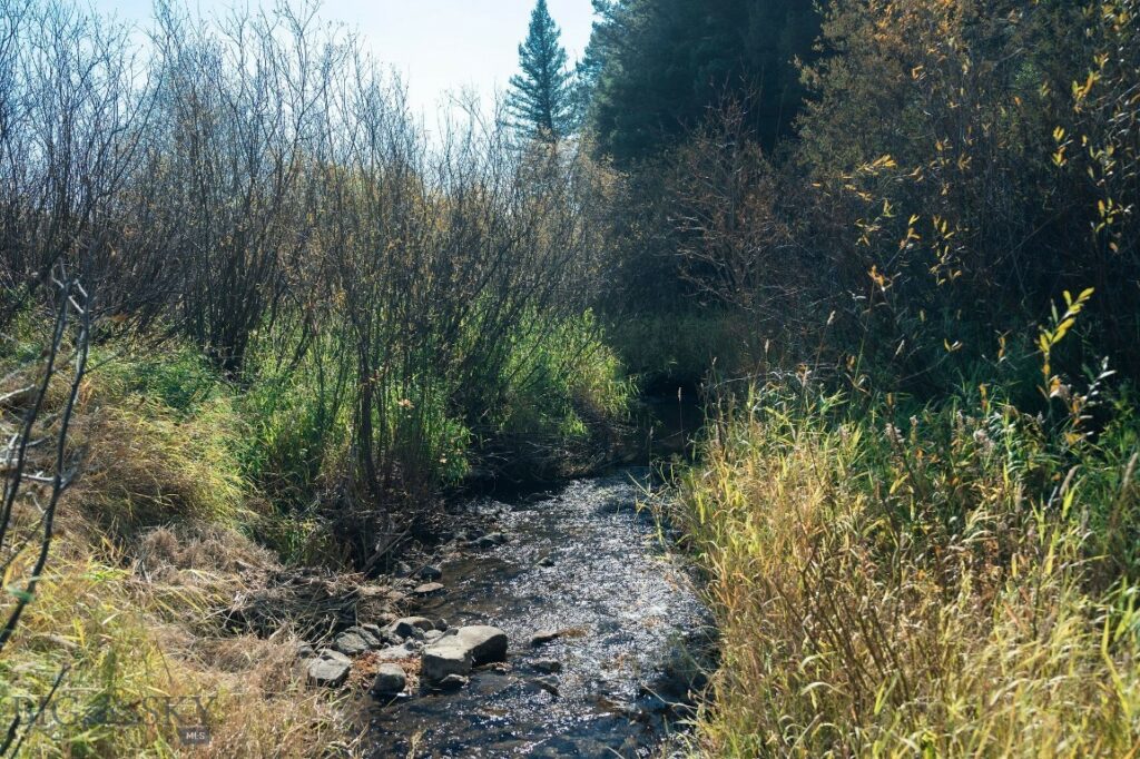 Bozeman MT 59715 - 18