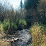 Bozeman MT 59715 - 18