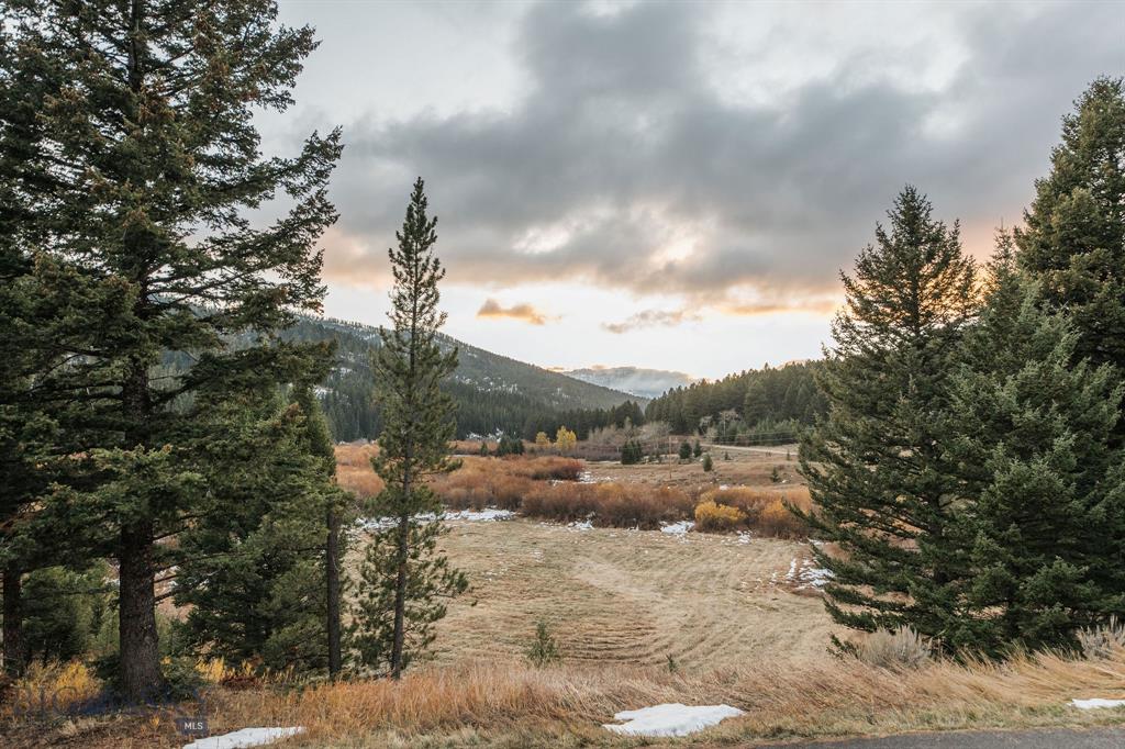 14650 Brackett Creek Road, Bozeman, Montana