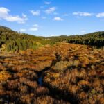 Bozeman MT 59715 - 6