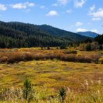 Bozeman MT 59715 - 7