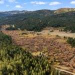 14650 Brackett Creek Road