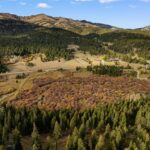 Bozeman MT 59715 - 4