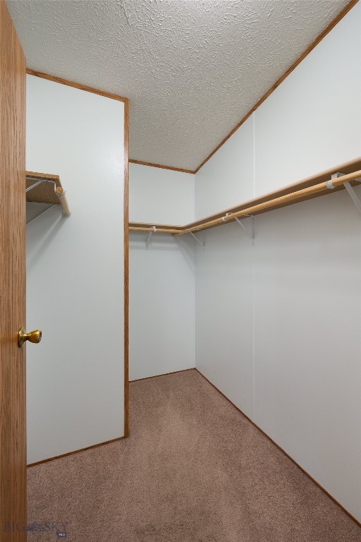 Belgrade MT 59714 - 9