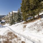 15 Spotted Fawn Court