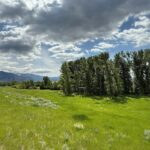 1535 Reynolds Creek Road