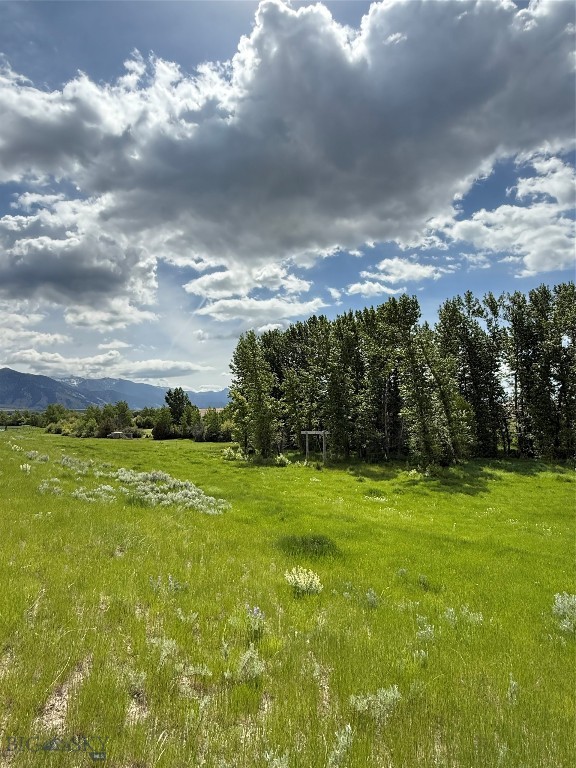 1535 Reynolds Creek Road