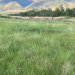 1535 Reynolds Creek Road