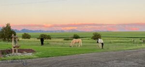 1535 Reynolds Creek Road, Belgrade MT 59714