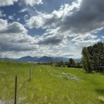 1535 Reynolds Creek Road