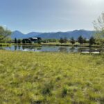 Bozeman MT 59718 - 1