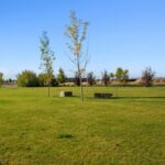 Belgrade MT 59714 - 24