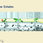 Bozeman MT 59718 - 1