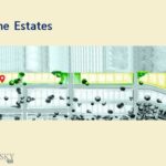 Bozeman MT 59718 - 1