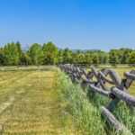 Bozeman MT 59718 - 24