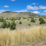 166.96 acres Private Rd off MT Hwy 287