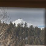 167 Pheasant Tail Lane