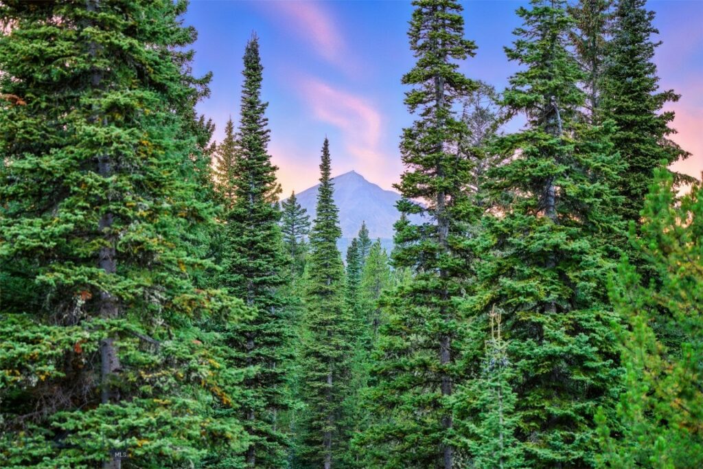 Big Sky MT 59716 - 19