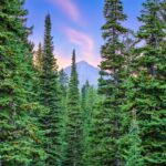 Big Sky MT 59716 - 19