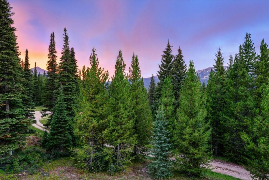 Big Sky MT 59716 - 20
