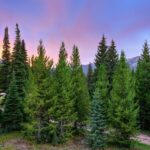 Big Sky MT 59716 - 20