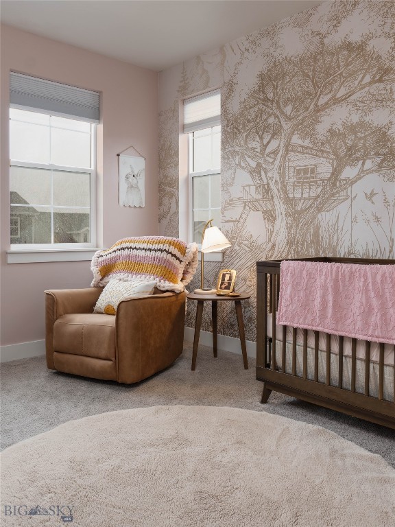 Belgrade MT 59714 - 13