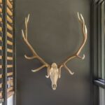 Big Sky MT 59716 - 17