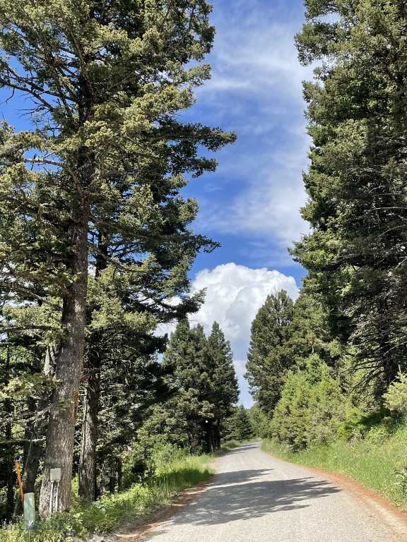 Bozeman MT 59715 - 1