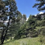 Bozeman MT 59715 - 6