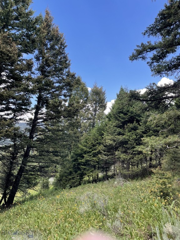 Bozeman MT 59715 - 6