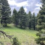 Bozeman MT 59715 - 7