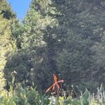 Bozeman MT 59715 - 9