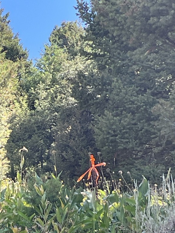 Bozeman MT 59715 - 9