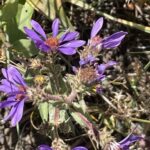 Bozeman MT 59715 - 11